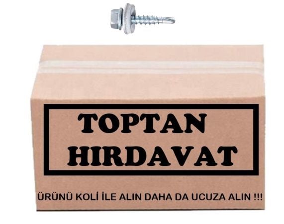 Trapez ÇATI Vida 5.5x25 Çatı Vidası 1000 ADET